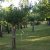 campingyuste (15)